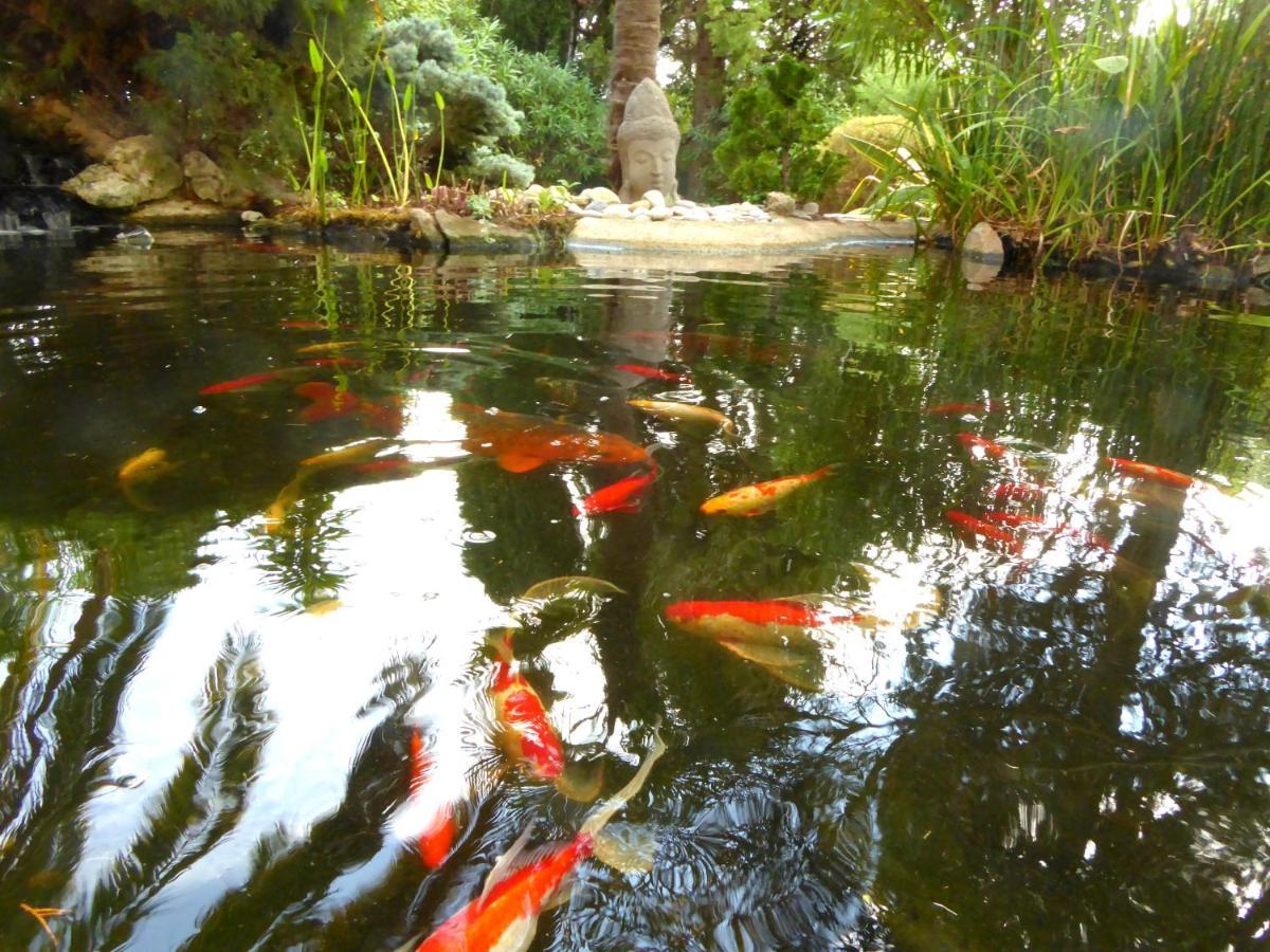 Babou Bed & Breakfast Mandelieu La Napoule Luaran gambar